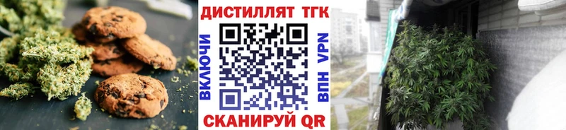 купить закладку Александровск shop наркотические препараты Печенье с ТГК конопля