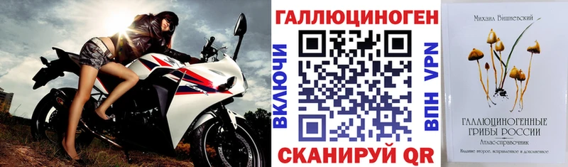 Галлюциногенные грибы Psilocybine cubensis  где купить наркоту  Александровск 